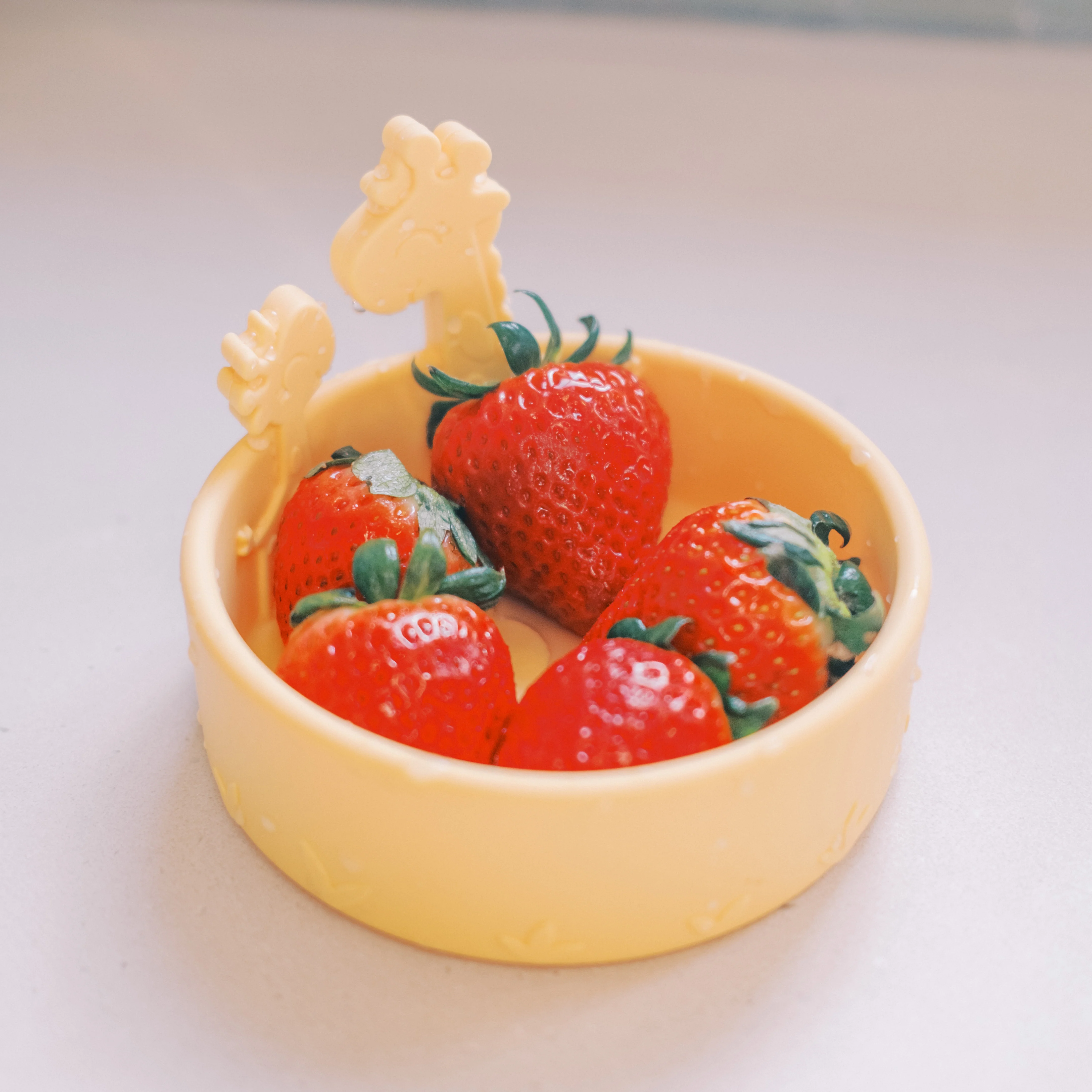 Animal Friends All Silicone Bowl - Image 5